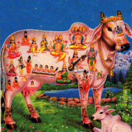 Hindu