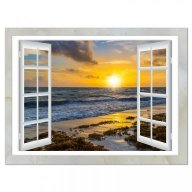window