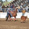 cowboy91868