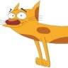 Catdog23